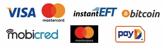 Payment methods in South Africa 